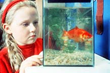 Chloe Ferguson in The Quiet Room (1996)