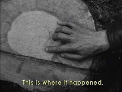 The catastrophe that ended the world is noted on the tree's timeline in The End of August at the Hotel Ozone (1967).