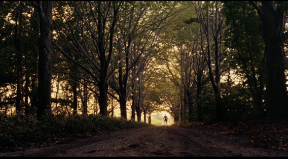 Burt Lancaster (in the distance) in The Swimmer