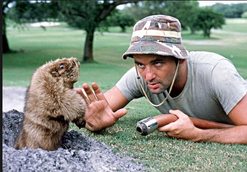 Billy Murray and his favorite tormentor in Caddyshack (1980)