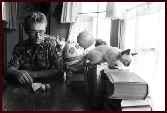 James Dean and cat