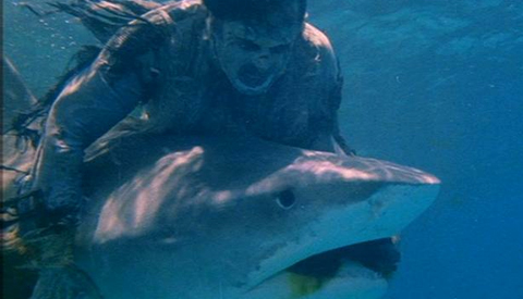 Zombie vs. Shark in Lucio Fulci's outrageous Zombi 2 (1979)