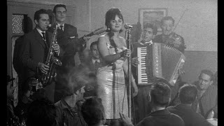 Dusan Makavejev for Beginners | Cinema Sojourns